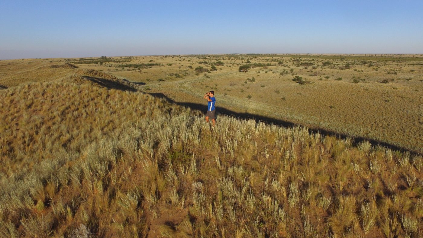 A researcher with binoculars in the middle of the pampas grassland
