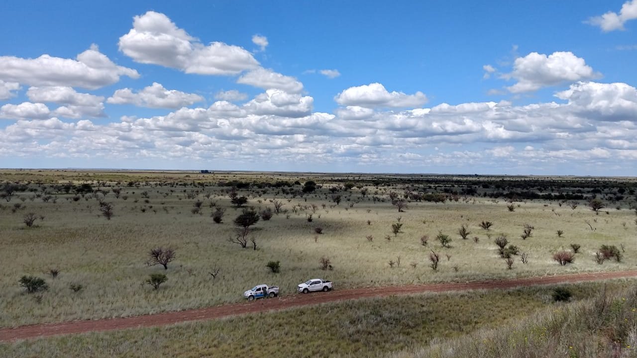 Camionetas del equipo en un camino entre pastizales