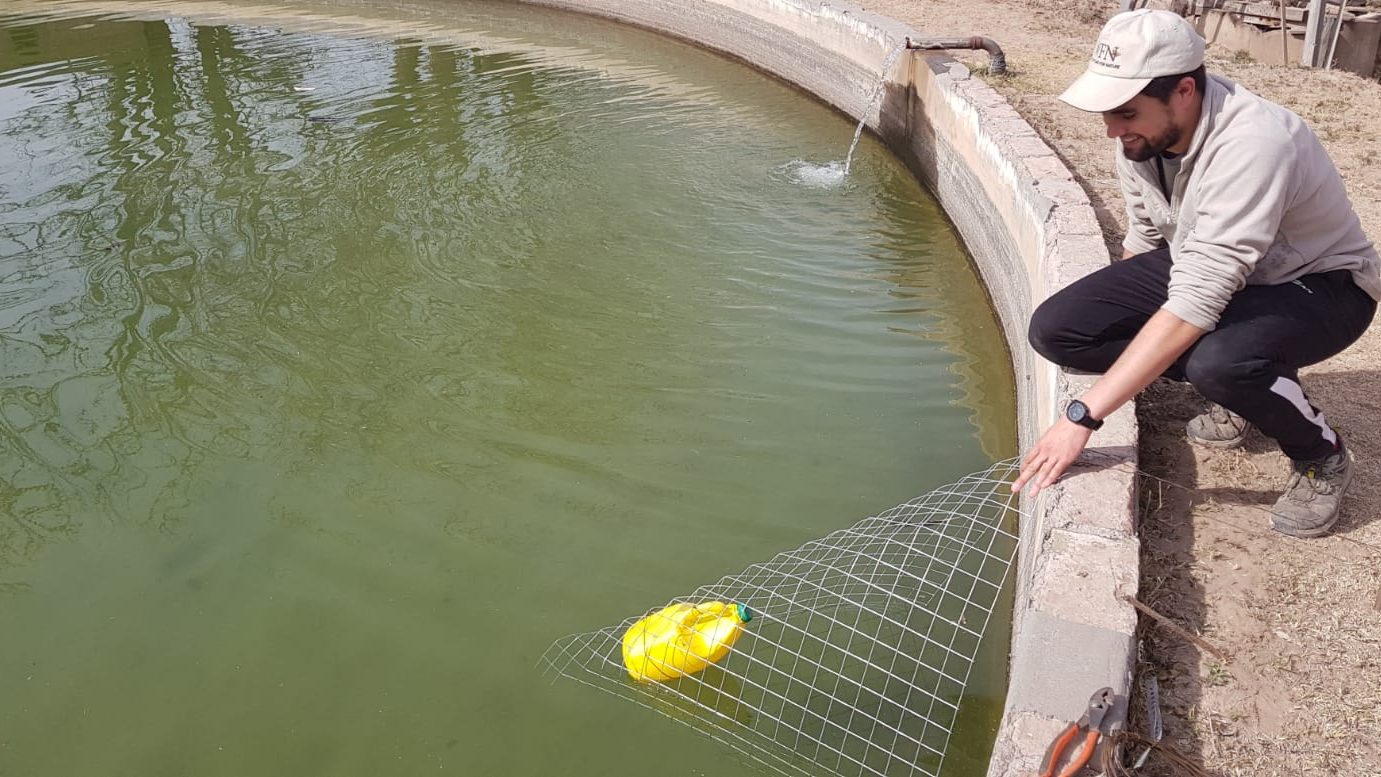 A wire-mesh ramp being fitted to the rim of a farm water tank